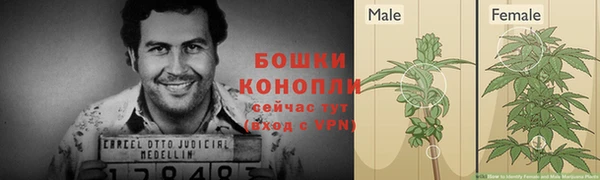 каннабис Алзамай