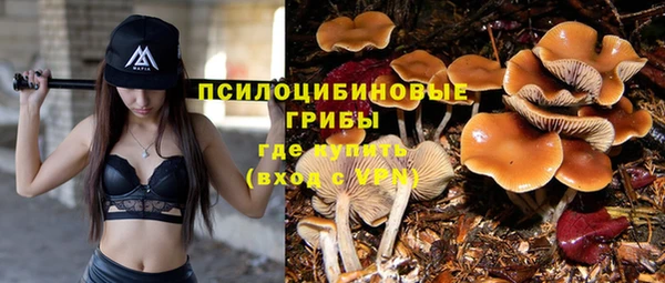 дмт Алексин