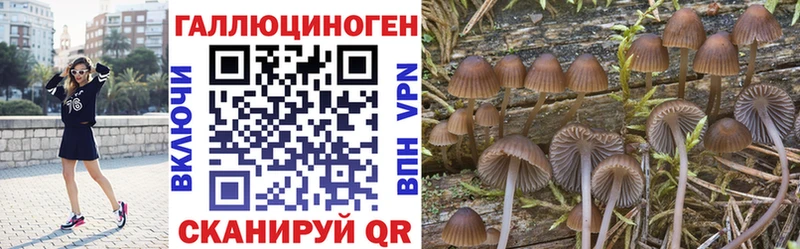 Галлюциногенные грибы Cubensis  Боровск 